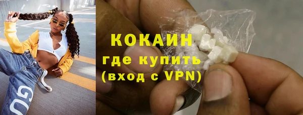 сатива Волоколамск