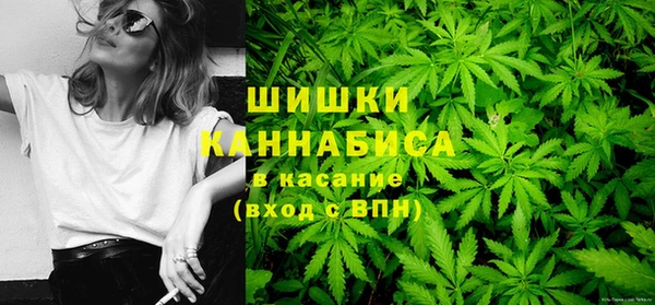 сатива Волоколамск