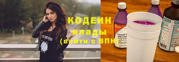 сатива Волоколамск