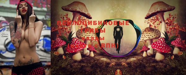сатива Волоколамск