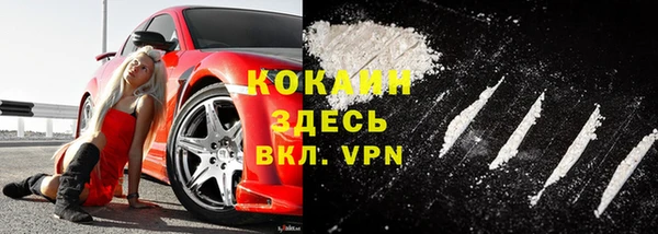 сатива Волоколамск