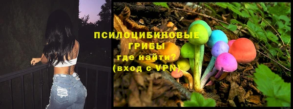 сатива Волоколамск
