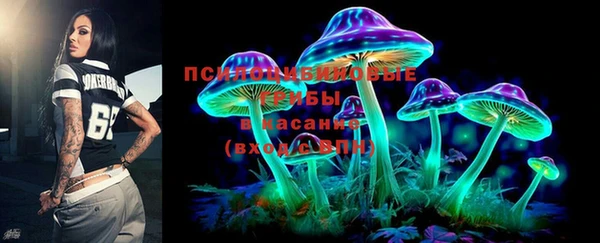 МДПВ Волосово