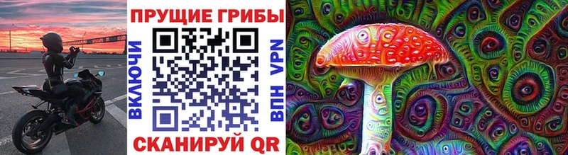 Купить  Красновишерск  Галлюциногенные грибы Psilocybine cubensis 